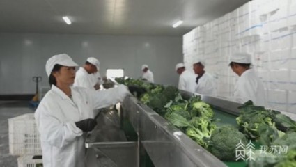 链接田头和餐桌 江苏部署加快推进农产品初加工机械化高质量发展